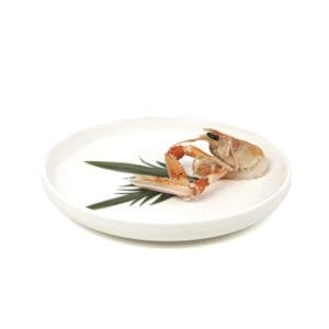 Rishi sushi - Scampi fruit passion