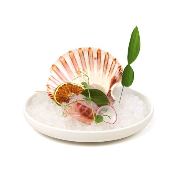 Rishi sushi - Sashimi branzino