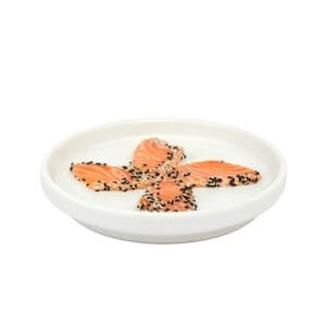 Rishi sushi - Tataki salmone