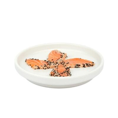 Rishi sushi - Tataki salmone